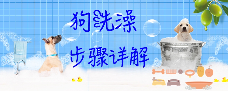 狗洗澡步骤详解