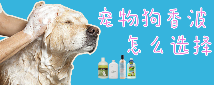 宠物狗香波如何选择