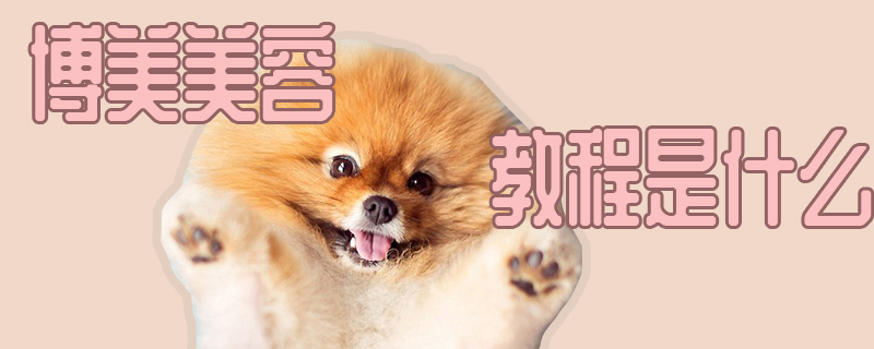 博美美容课程是什么