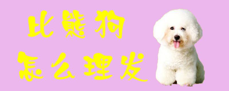 比熊狗如何理发