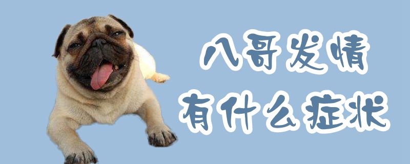 八哥发情有哪些症状