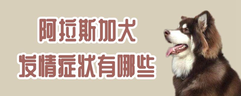 阿拉斯加犬发情症候有哪些