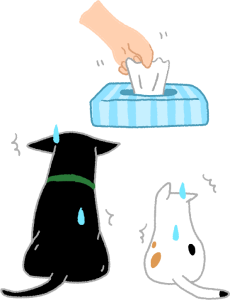 给猫「洗屁股」比洗澡更重要！猫做这沙雕动作时，要加倍注意(图5)