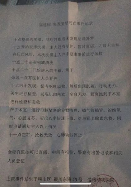 一周内两只猫外出洗澡，一死一伤！带猫去洗澡必须做好两件事(图4)