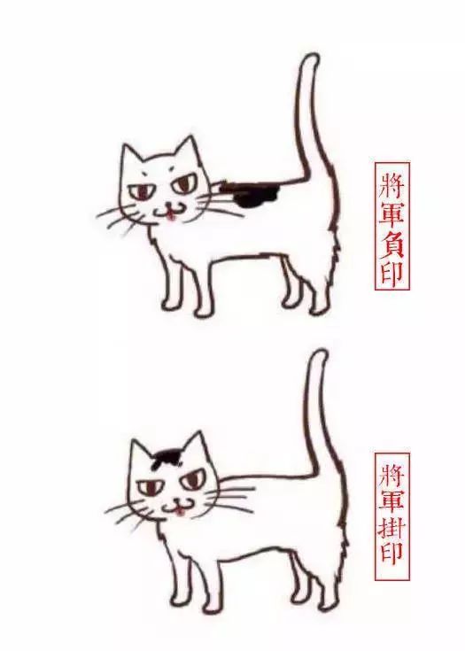中国人最喜欢养的五种猫！你家主子入选了吗？(图9)