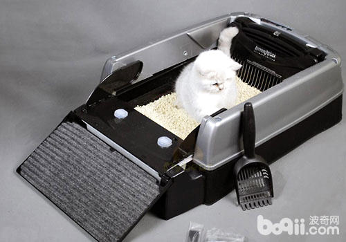 果然有自动干洁猫砂盆吗？