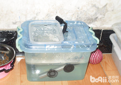 【DIY】猫咪自动饮水器创造