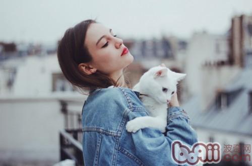 温顺小天使，抱猫方法大公开