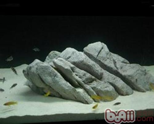 参瞅鱼缸的罕睹岩石品种