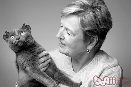 带你探究宠物猫耳朵的秘密