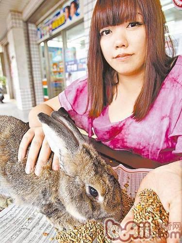 常用的几种兔饲料引见