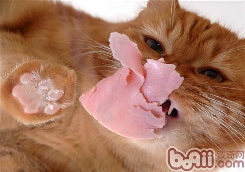 给猫咪吃火腿肠果然佳吗？