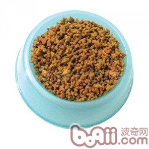 如何给宠物猫选择适合的猫粮