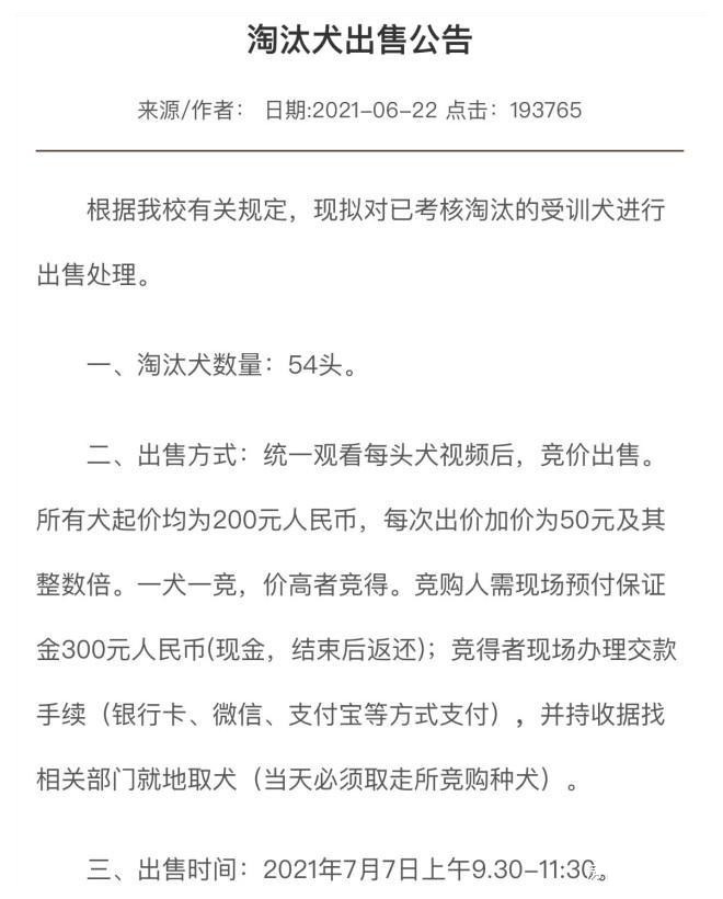 沈阳中国刑警学院拍卖淘汰警犬，最高拍卖喊价33万！
