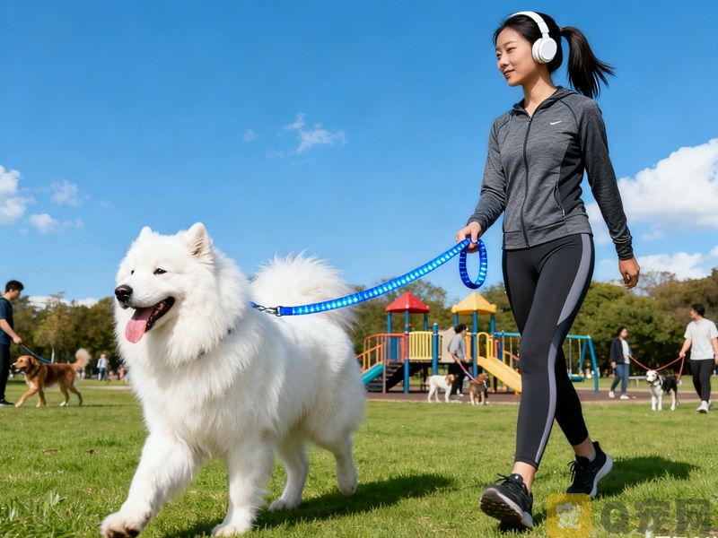 明年起遛狗不拴绳违法：宠物主人的新责任与公共安全提升(图1)