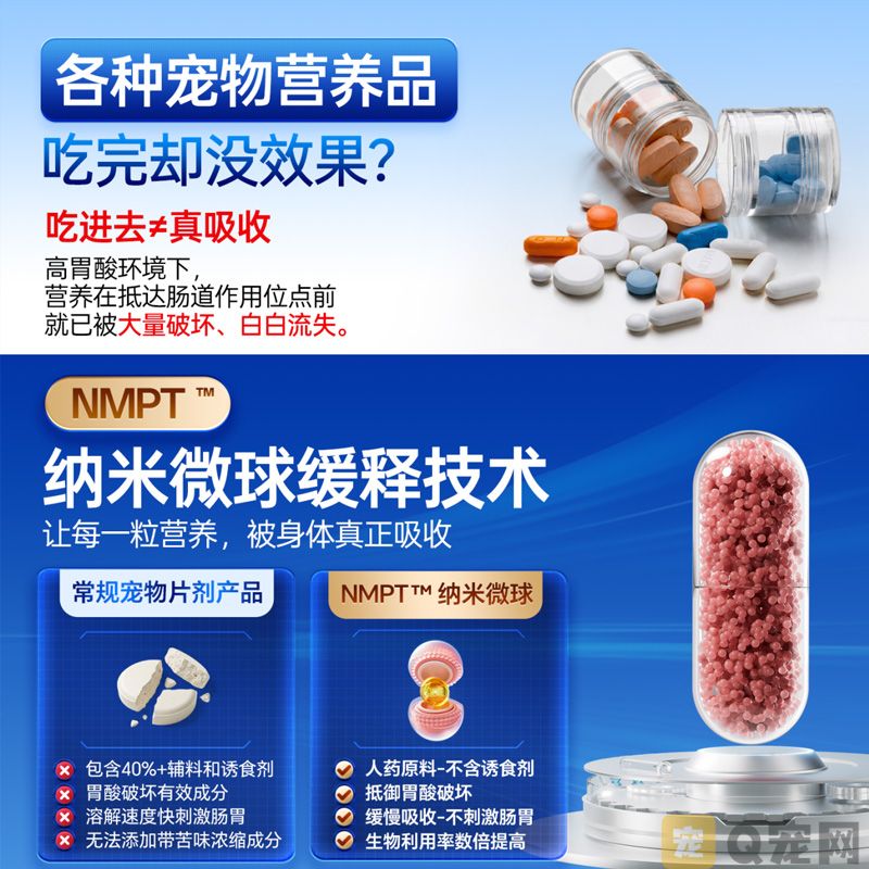 猫咪抗衰老产品怎么选？DLOVE 生命元四年稳居销量榜首(图3)